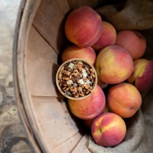Harvest Peach Herbal Tea | Seasonal Specialty Blend